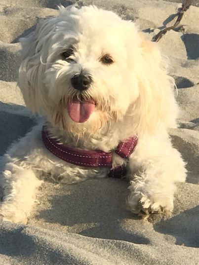 Jamina 4 år- tur på stranden