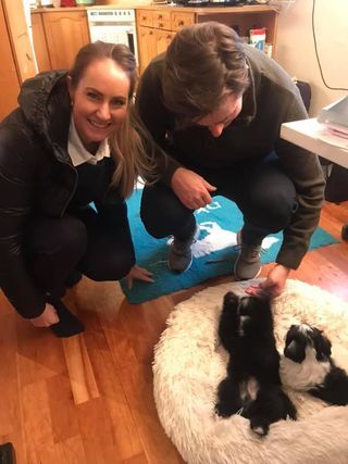 Lykkelig familie sammen med Akela Zico og Askepott Lilo