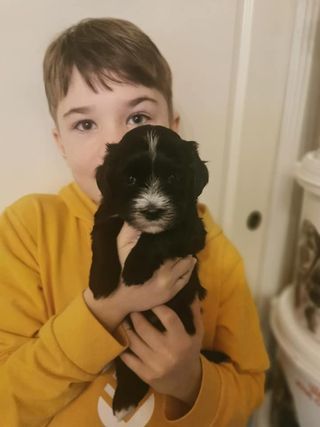 Andrine er på besøk og viser frem deres nye valp Anastasia Alina 5 uker. Gleder seg til de får valpen hjem :)