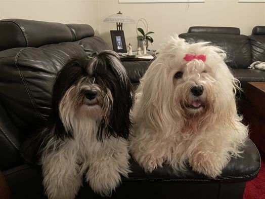 Lilo og Jamina mars 2022
